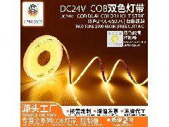 COB灯带的未来前景如何