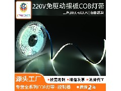 设计一个COB灯带需要注意什么问题