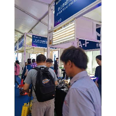 23年古镇秋季展7