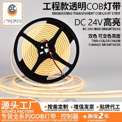 厂家批发低压24V防水2线双色灯带衣柜橱柜酒柜汽车氛围装饰灯带